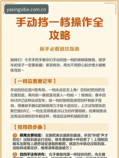 亚星体育平台新手避坑指南：从下载到实战的完整操作路径解析